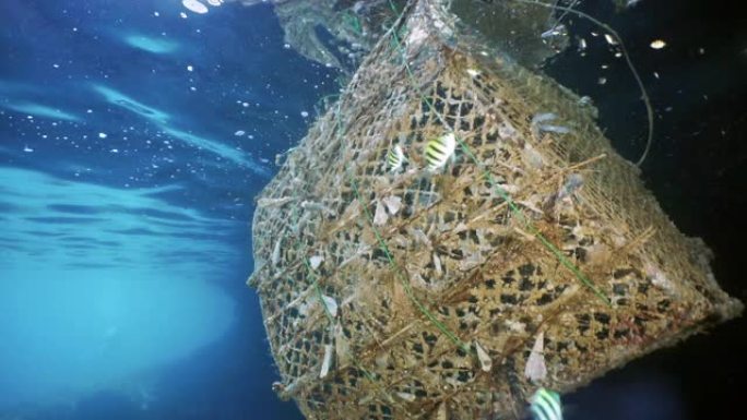 废弃幽灵网鱼聚集装置污染海洋