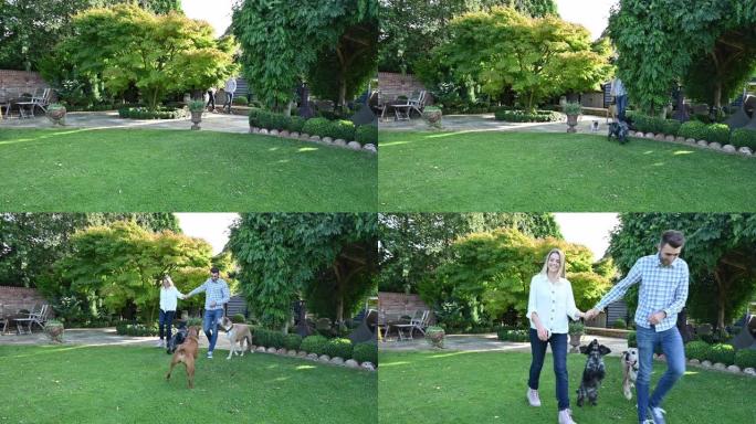 20年代初的夫妇和活跃的狗在草坪上行走
