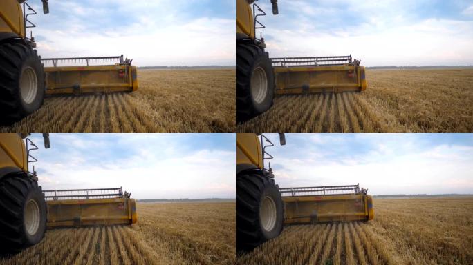 从联合收割机在粮田工作的右侧看。收割机缓慢穿越乡村，采集成熟小麦。食品工业或收割的概念。慢动作