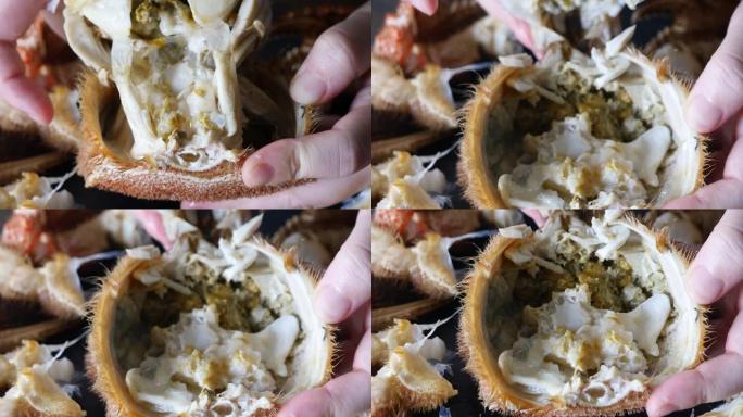 日本马毛蟹。蟹体。螃蟹味噌的特写视频。