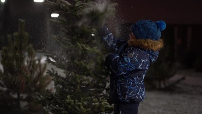 美丽的慢动作视频 -- 一个冬天的晚上，小男孩的乐趣从公园里白雪皑皑的圣诞树上甩下积雪