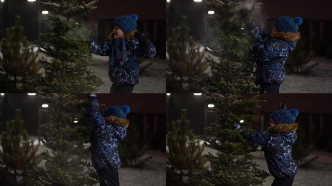 美丽的慢动作视频 -- 一个冬天的晚上，小男孩的乐趣从公园里白雪皑皑的圣诞树上甩下积雪