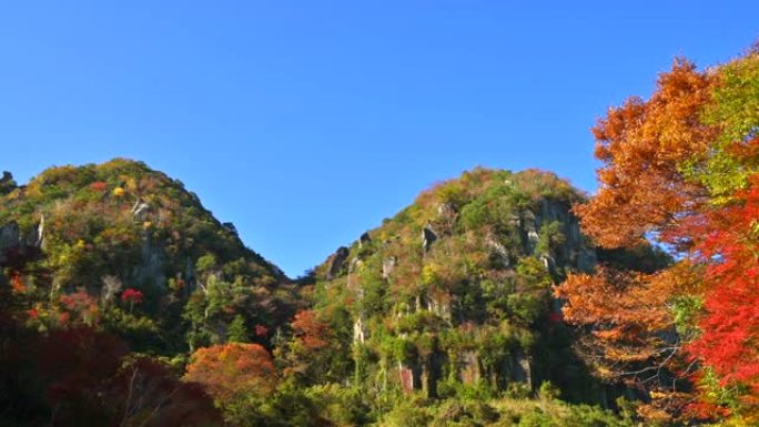 新亚坝峡谷的秋叶。日本大分县Yabakei。