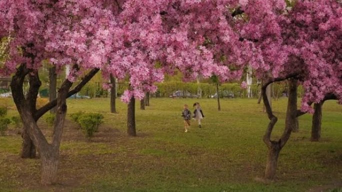 春天，两个小孩在开花的树木之间的绿色草地上奔跑。