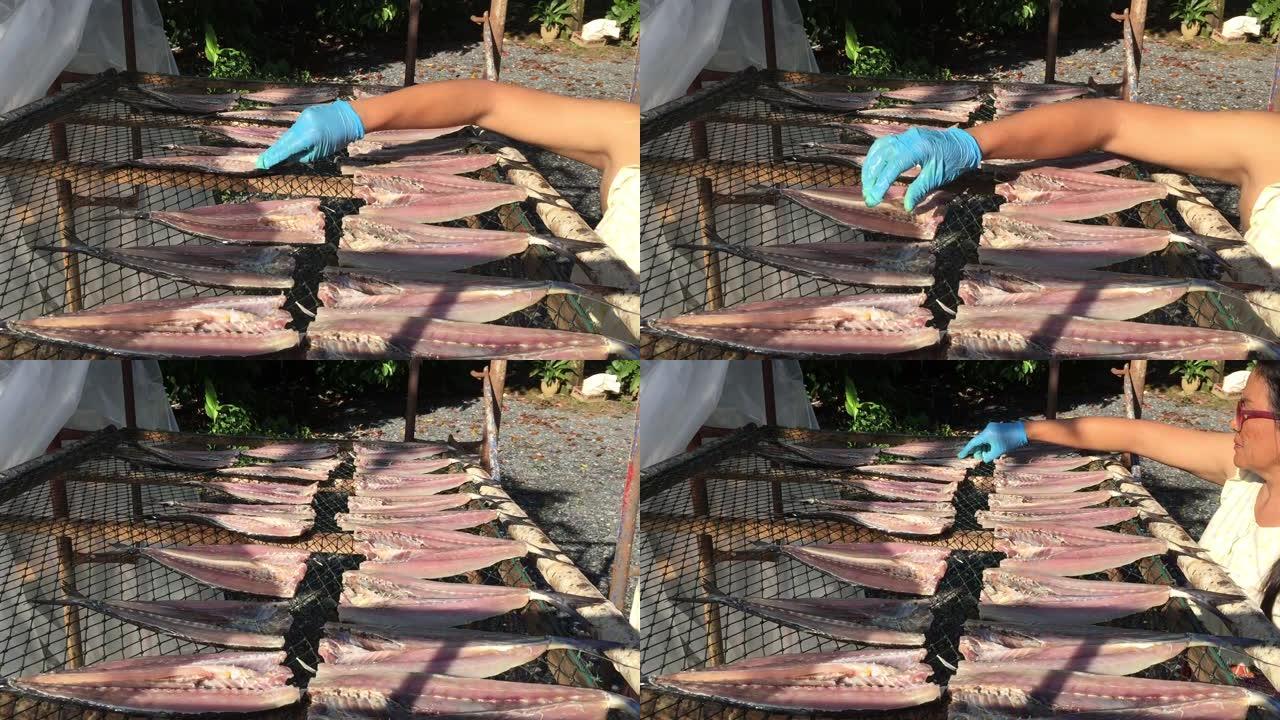 女人将新鲜的鱼放在塑料网上，用阳光加热干燥