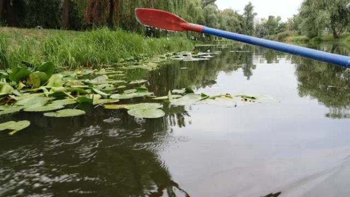 公园里有湖泊和睡莲的塑料桨。在水上划桨。关闭水中的桨碎片。水滴向下流动。在城市公园里用百合和莎草划桨