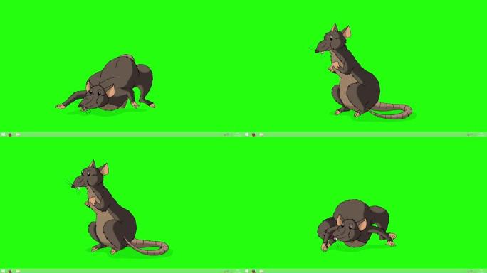 棕色老鼠爬出来，然后隐藏动画色度键