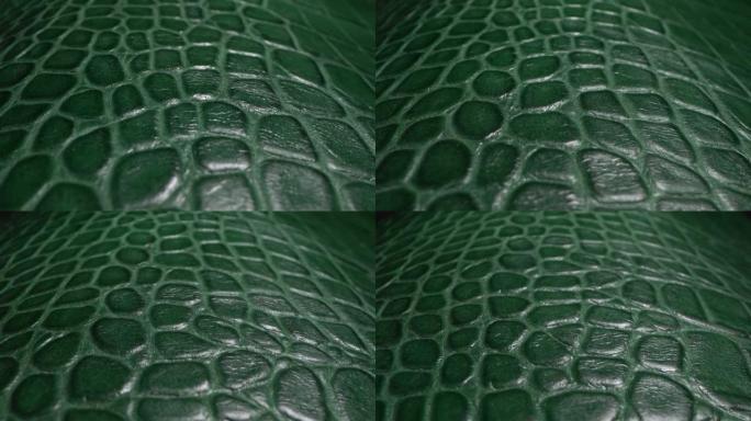绿色鳄鱼皮。真皮纹理非常近