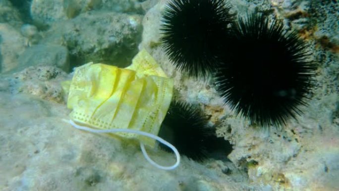 用过的黄色医用口罩躺在岩石海底的海胆上。冠状病毒新型冠状病毒肺炎正在造成污染，因为废弃的二手口罩会污