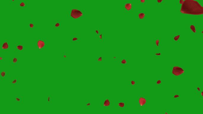 落下的玫瑰花瓣绿色屏幕运动图形