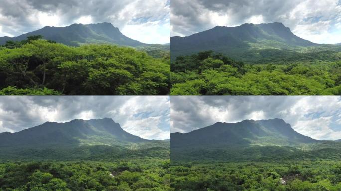 美丽的空中拍摄雨林山暴露在高大的树木后面