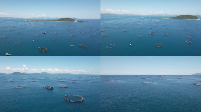 海上养殖海洋牧场网箱养殖