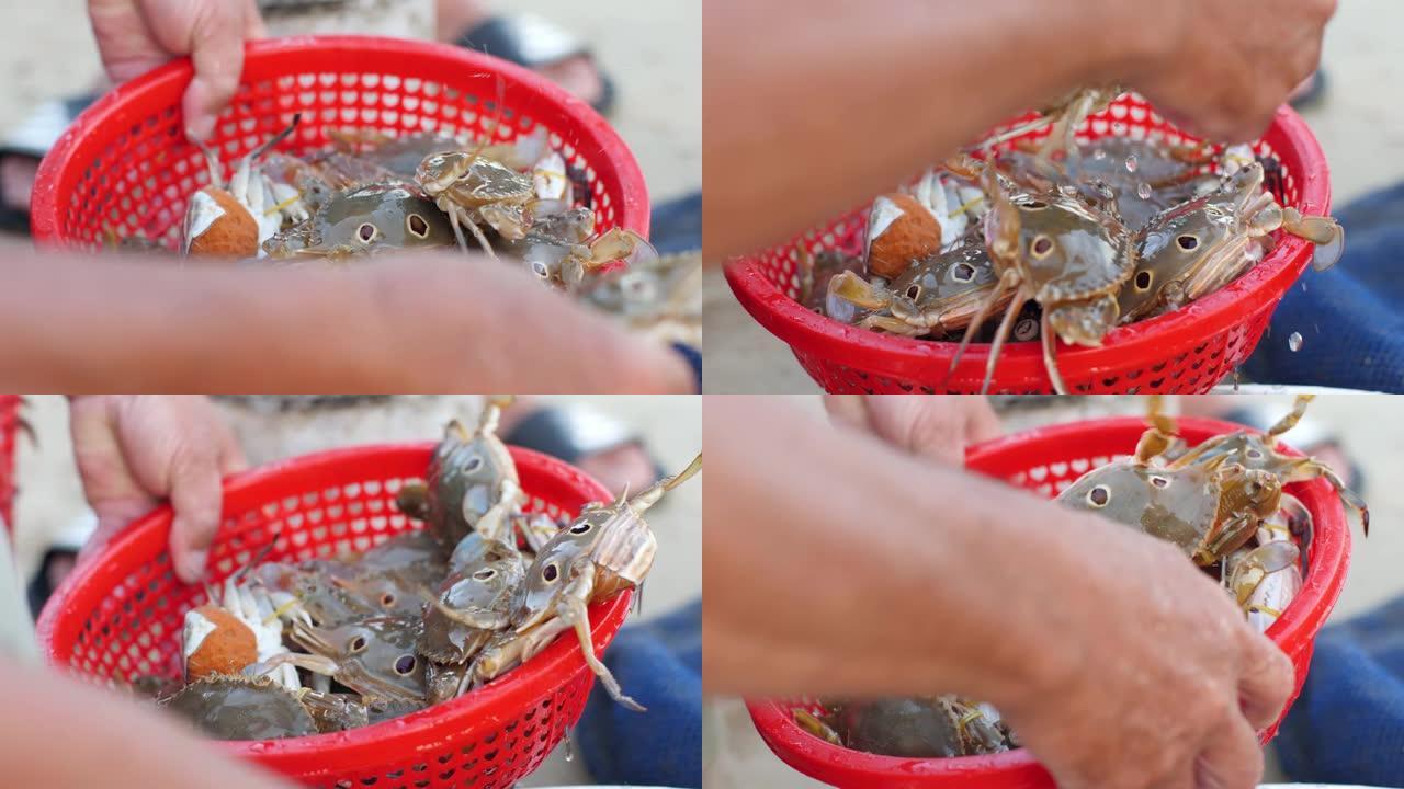 一只手拿着装满新鲜捕蟹的漏勺的特写镜头。