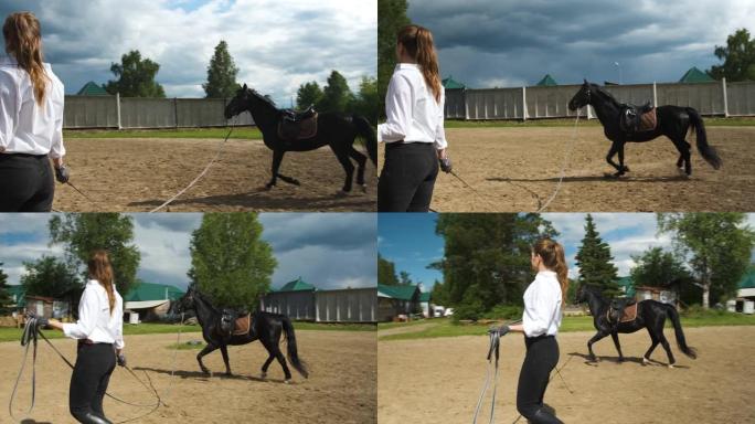 一个穿着白衬衫和黑色裤子的女孩和一匹黑马在阳光明媚的天气中进行夏季训练