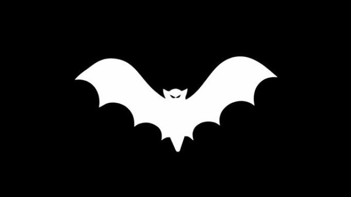 黑色背景的万圣节飞行蝙蝠动画。4K