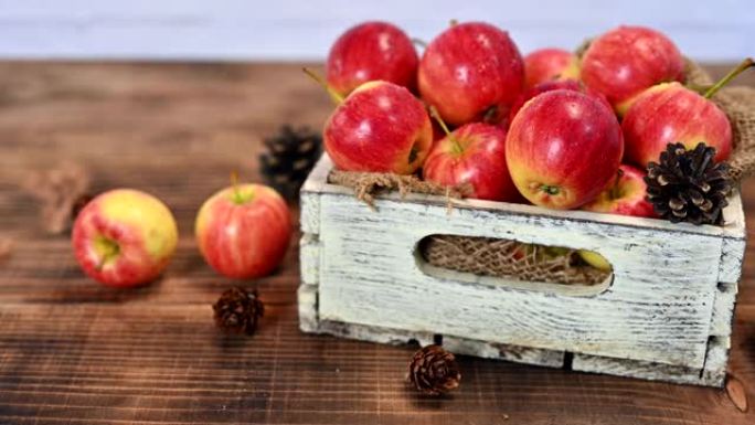 木箱中的有机成熟红苹果。秋季收获聚宝盆。新鲜水果与木桌背景。
