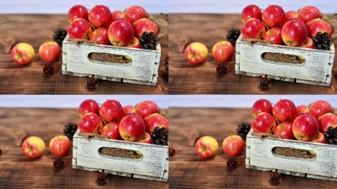 木箱中的有机成熟红苹果。秋季收获聚宝盆。新鲜水果与木桌背景。