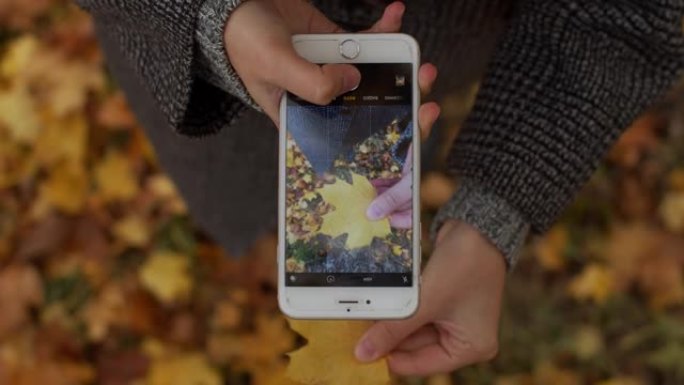 黄色叶子背景户外女性手握手机的俯视图