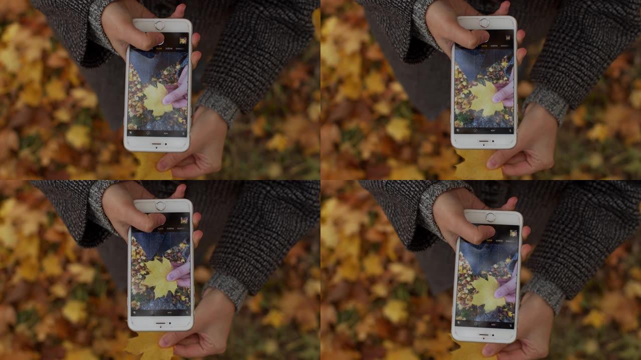 黄色叶子背景户外女性手握手机的俯视图
