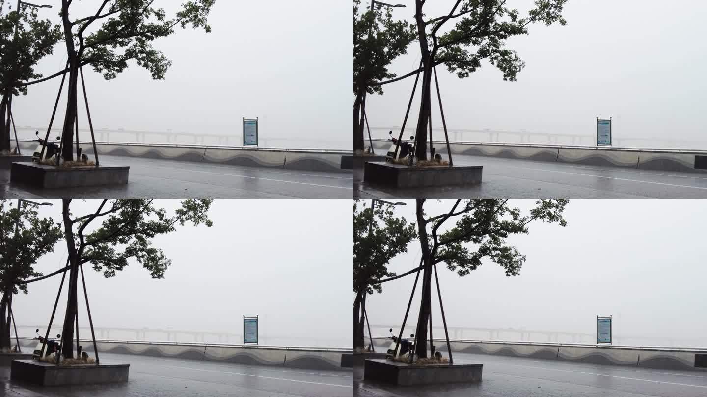 傍晚杭州钱塘江江东大桥下暴雨视频素材
