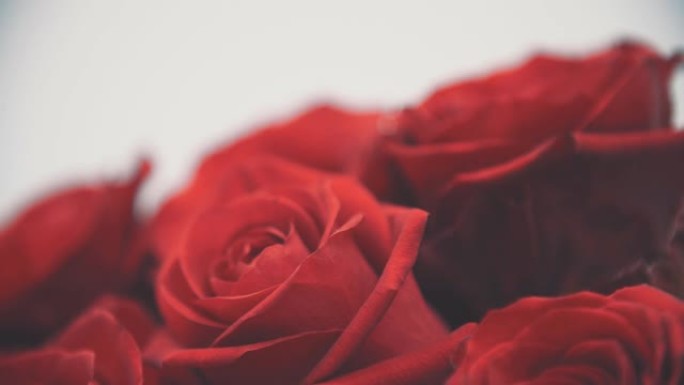 大红玫瑰花束的自然之美。
