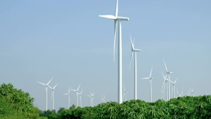 风电场中的风力涡轮机可产生可再生电能，从而节省了气候变暖