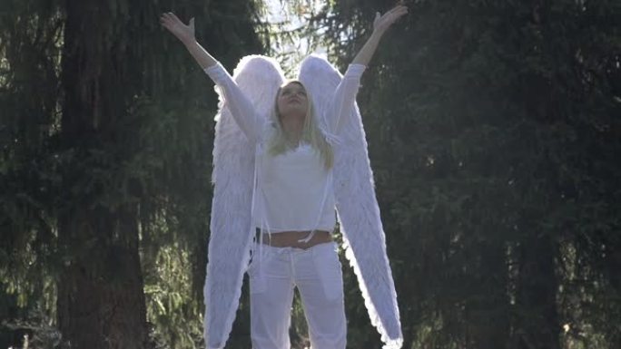 森林里有白色翅膀的天使