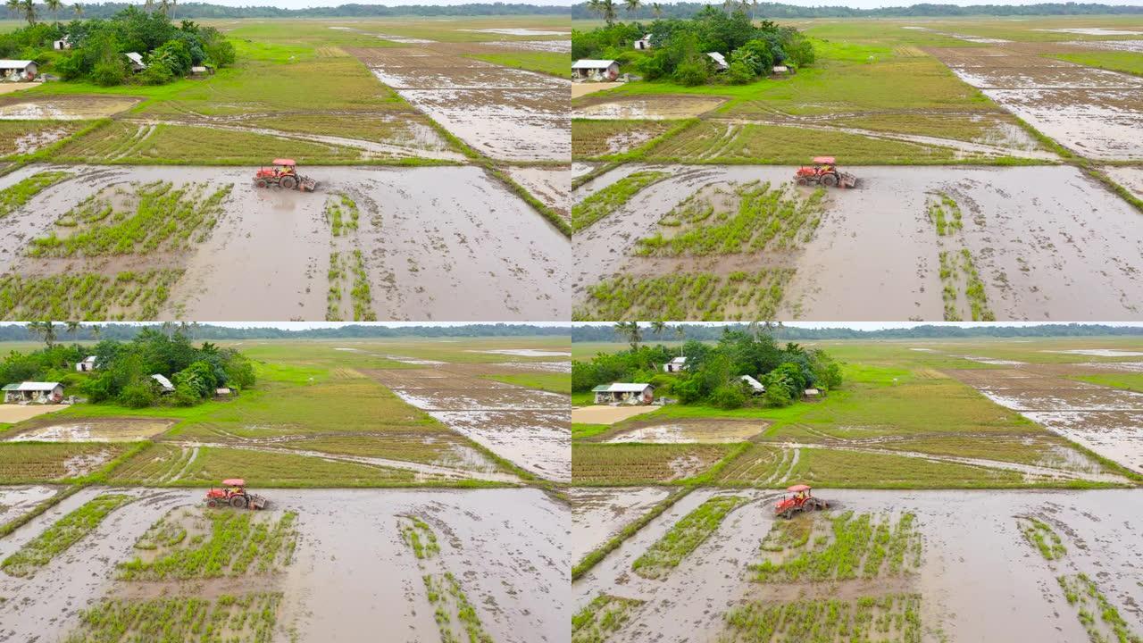 拖拉机是犁地，为水稻种植准备土壤，使土壤变得易碎，适合水稻种植