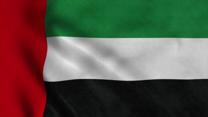 阿拉伯联合酋长国国旗挥舞的动画- 4K