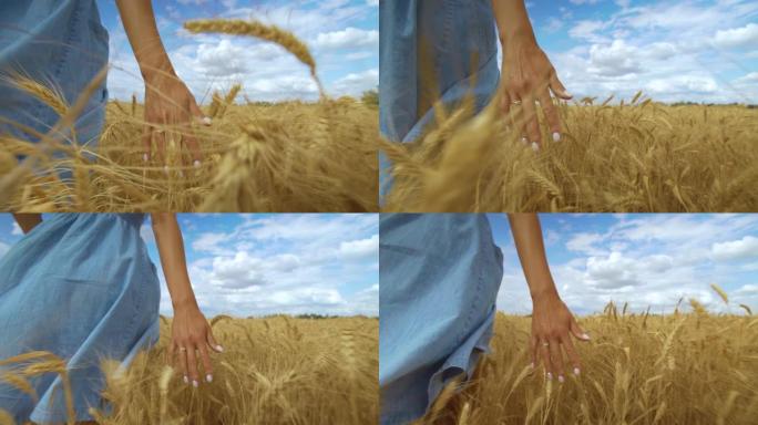 女手在麦田里摸一粒金黄的麦子