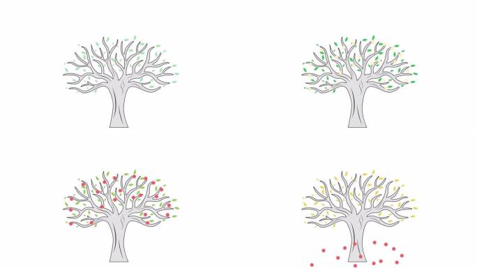 大自然的季节。树生命周期。4k视频插图。