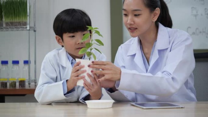 亚洲女教师在教室里教学生男孩实验农业。教看叶绿素在智能农业中的好处。教育、农业和技术的概念。