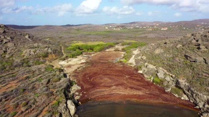 加勒比海库拉索岛海岸的鸟瞰图，博卡提升周围充满了马尾藻海藻和塑料垃圾