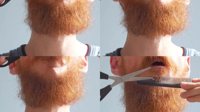 成年男子用剪刀和梳子剪自己的胡须和胡须。高加索红胡子男性在家修剪脸上的头发。自己动手自制发型。检疫隔
