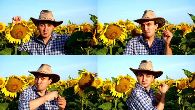 自信的农民在向日葵田里玩得开心