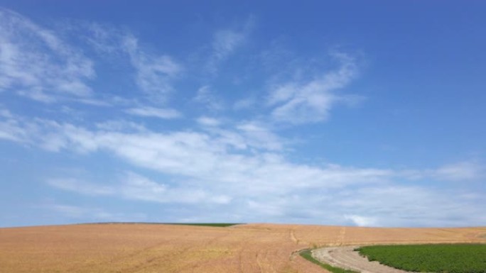 夏天的Biei夏日田野北海道绿农业盛夏