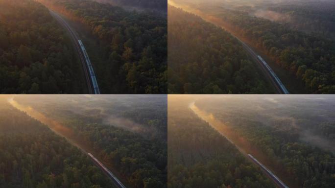 雾中黎明的铁铁路桥