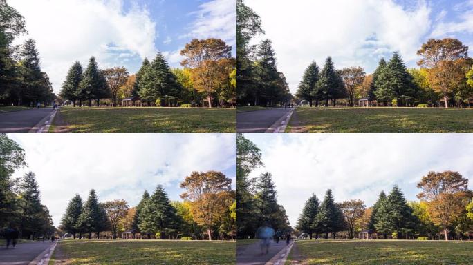 4k延时: 行人拥挤在日本东京代代木公园的秋天行走