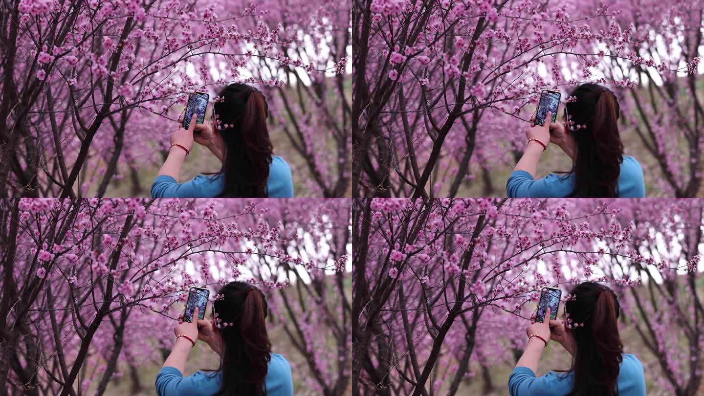 美女点击手机拍摄美景