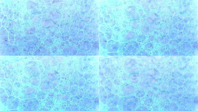 彩色肥皂泡沫与爆裂气泡背景。摘要生物结构，大分子模式。蓝色墨水填充了大量在液体中形成的白色小气泡。自