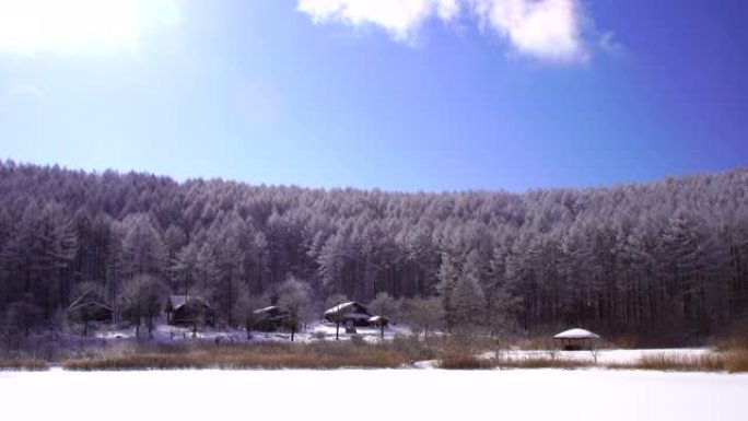 长野县日尻高原的雪域景观。