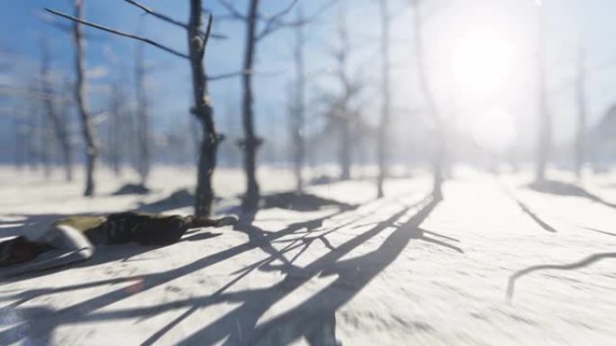 森林飞行在积雪覆盖的森林中发现了4千名死亡的士兵