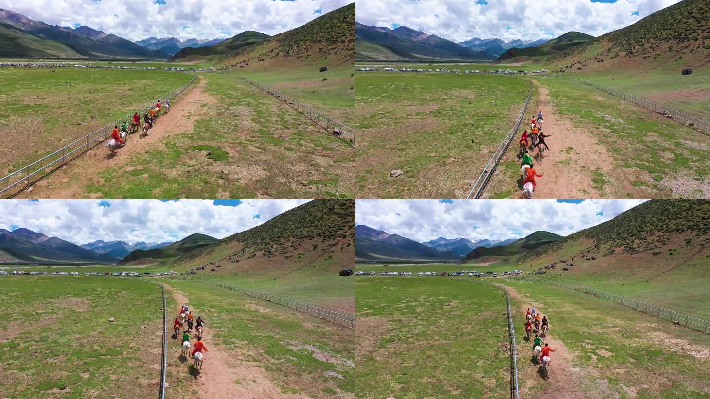 西藏旅游 高原节日 藏族节日 草原 赛马