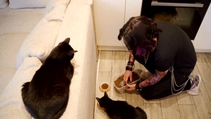 女人在家喂猫两只黑猫