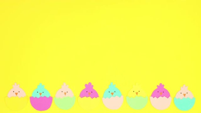 鸡蛋中的鸡蛋在黄色背景底部移动-停止运动