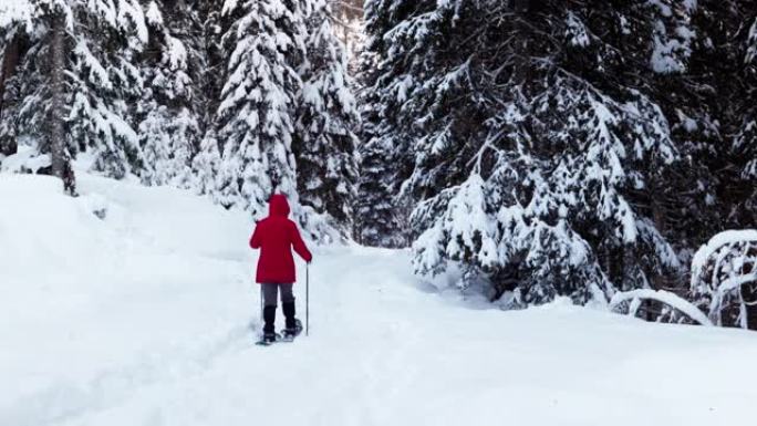 在高山冬季森林中，单身女子雪鞋行走