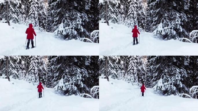 在高山冬季森林中，单身女子雪鞋行走