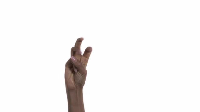 显示数字一，二，三，四，五的手。非洲女人手掌的特写。肢体语言概念。孤立，在白色背景上