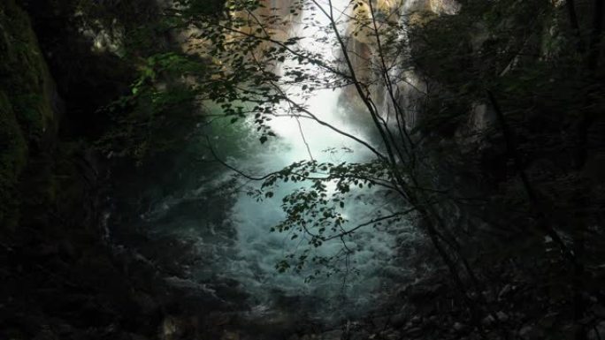 绿色森林中的瀑布/西泽山谷