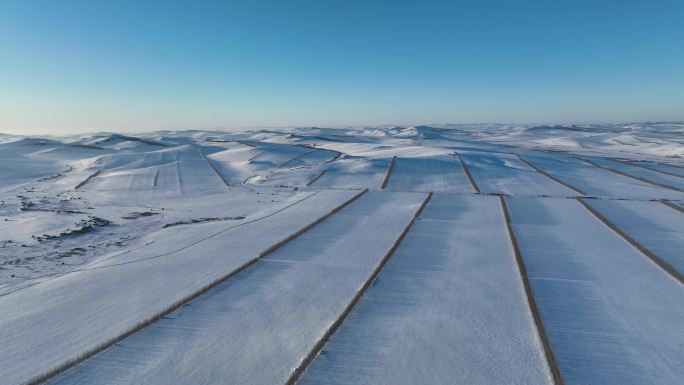 农垦垦区雪原田野风光雪景